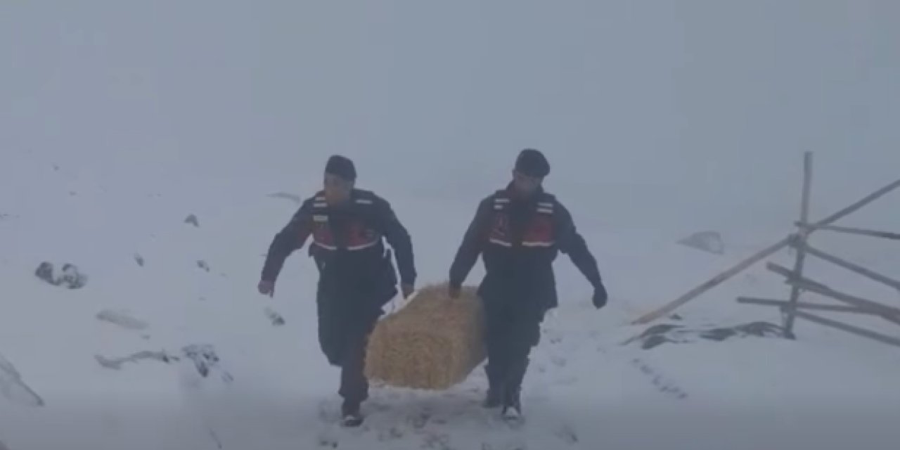Konya'da Yaylada Kar Baskını: Ilgın’da Üreticiye Jandarma ve Belediye Desteği