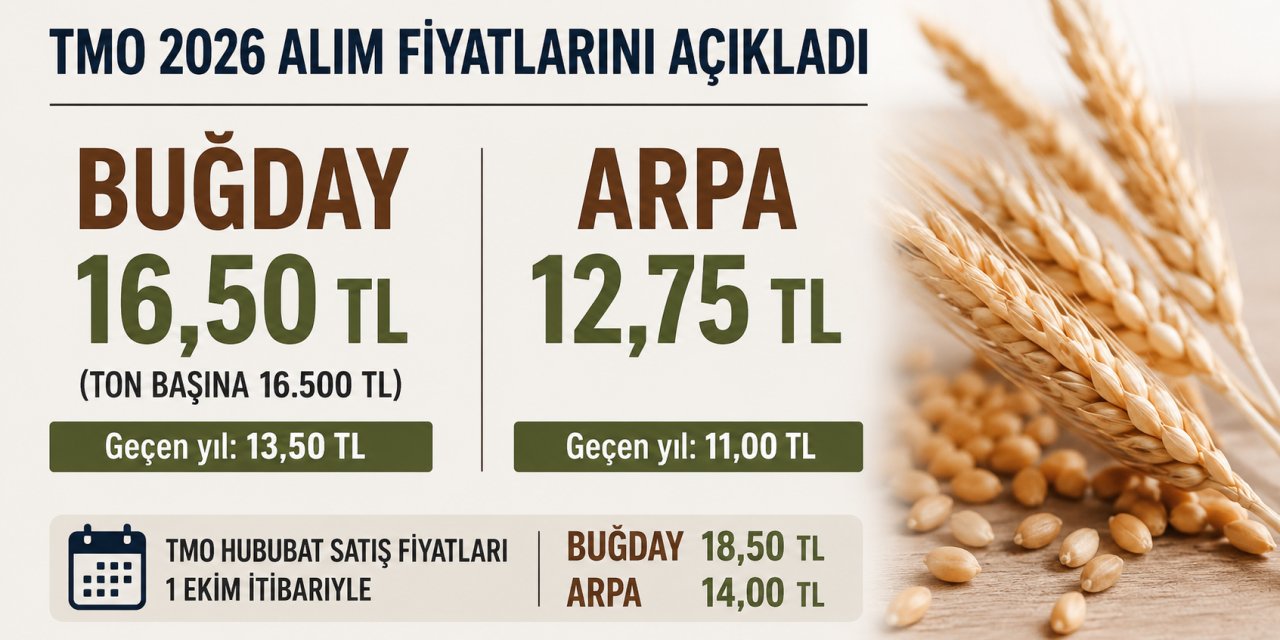 TMO 2026 Hububat Alım Fiyatlarını Açıkladı: Buğday 16,50 TL, Arpa 12,75 TL