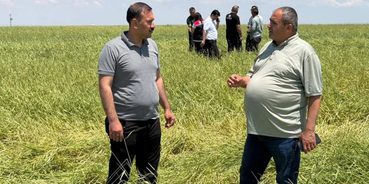 Sultanhanı'nda Dolu Zararı Yerinde İncelendi