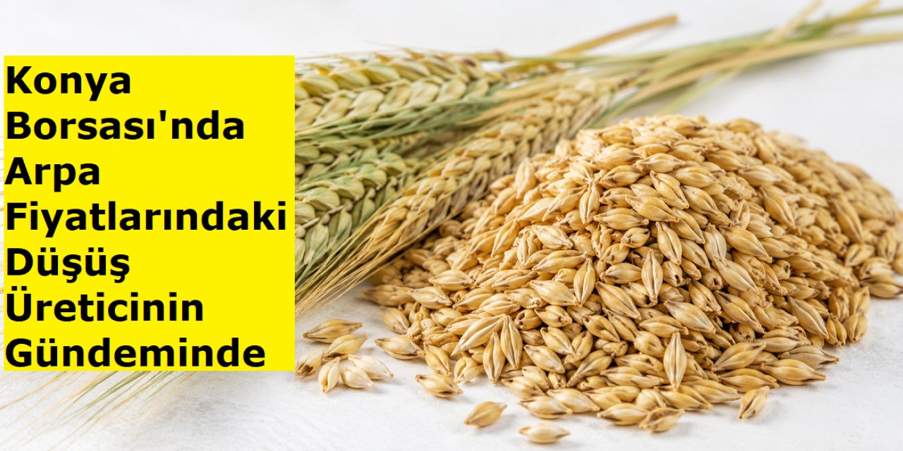 Konya Borsası'nda Arpa Fiyatlarındaki Düşüş Üreticinin Gündeminde