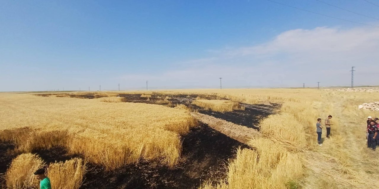 Eskil'de Ekili Alanda Kuş Çarpması Sonucu Yangın Çıktı