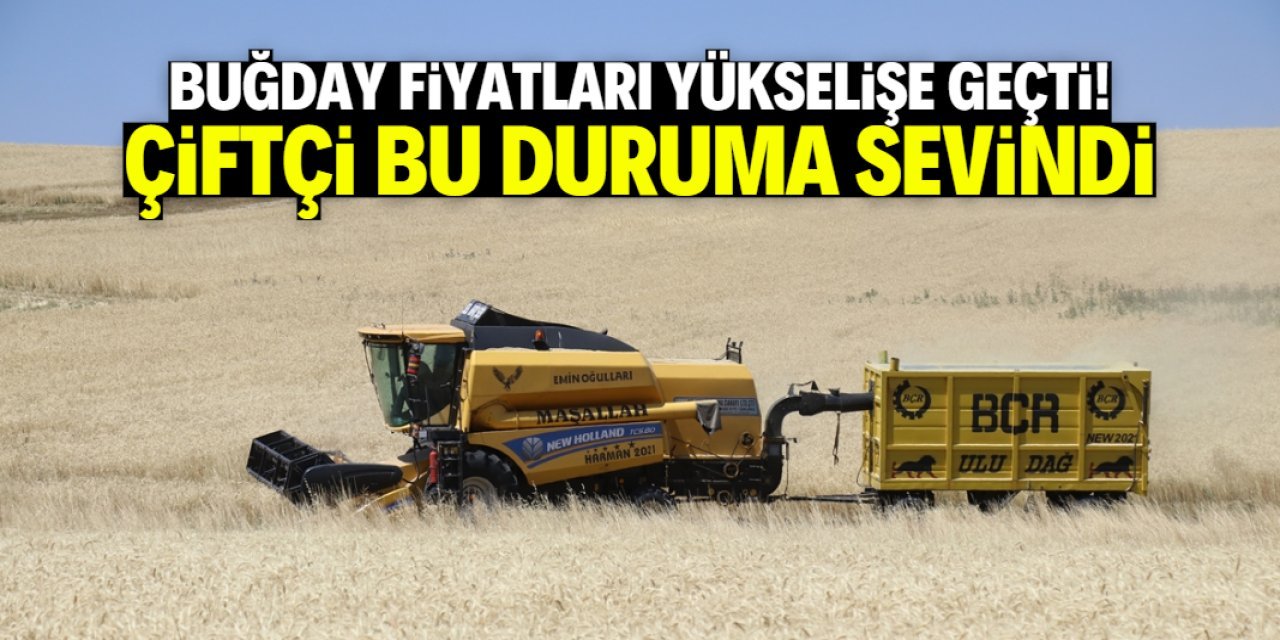 Küresel Piyasada Buğday Fiyatları Yükselişe Geçti: Üretim Tahmini Düştü, Arz Endişesi Arttı