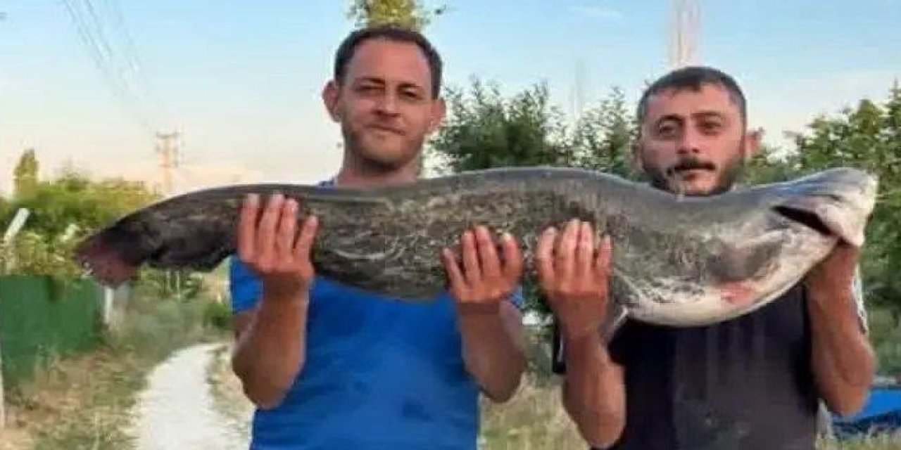 Kızılırmak'ta Dev Av: Ortaköylü 2 Kardeş 23 Kiloluk Yayın Balığı Yakaladı!