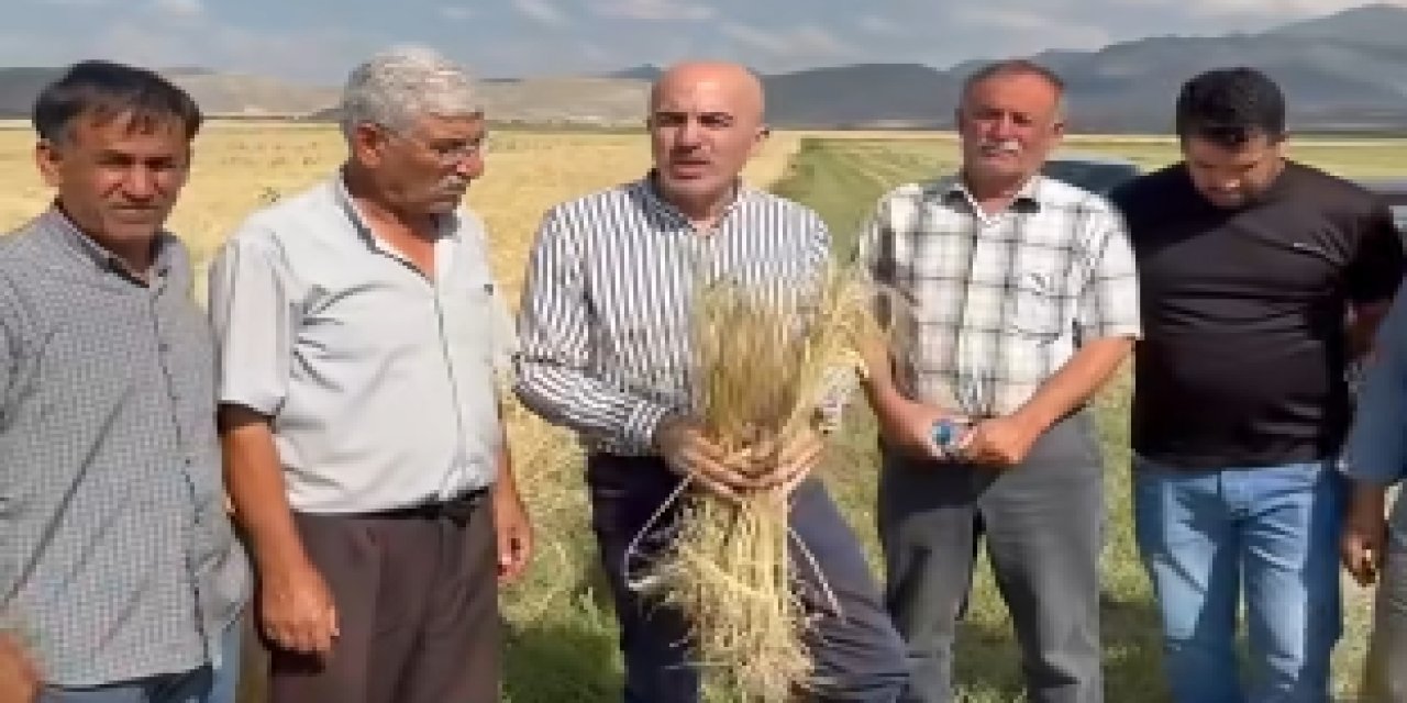 Sertifikalı Diye Aldılar! Sahte Tohum Skandalı: Çiftçiler İsyan Etti, Olay Yargıda!