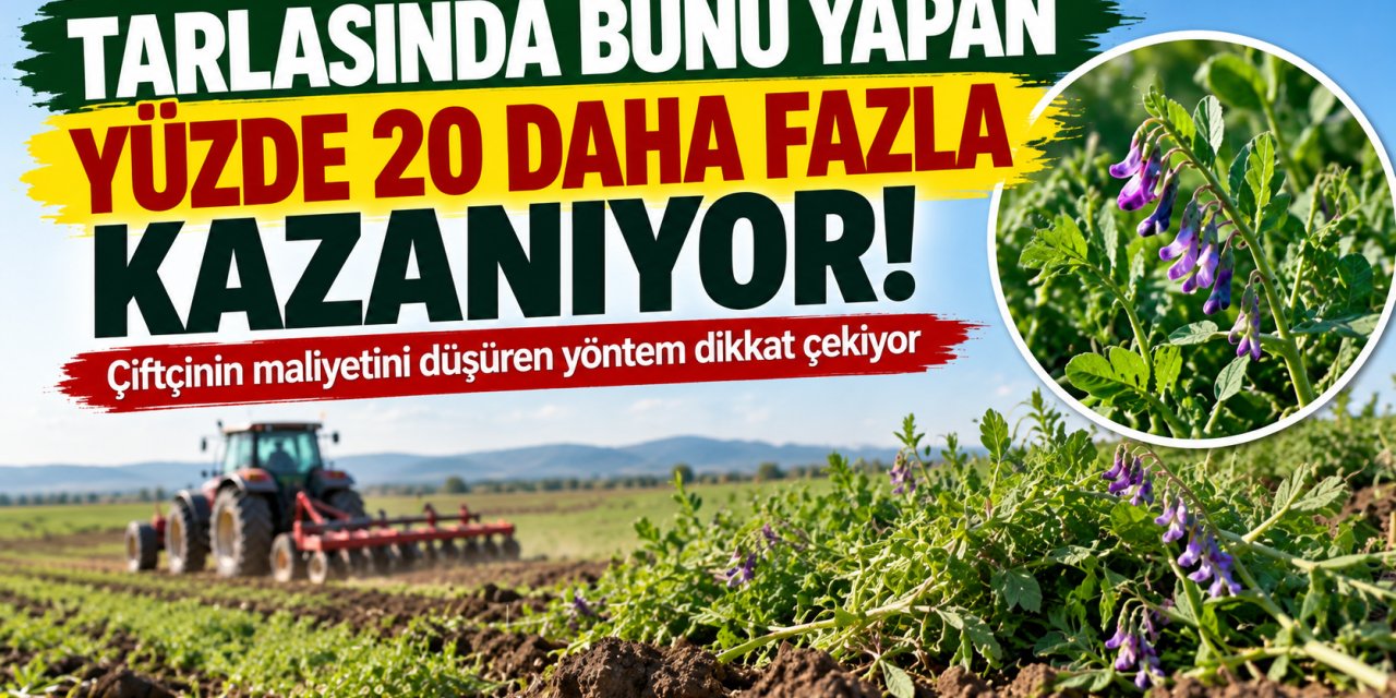 Tarlasına bunu eken çiftçinin kazancı artıyor: Gübre maliyetini düşüren yöntem