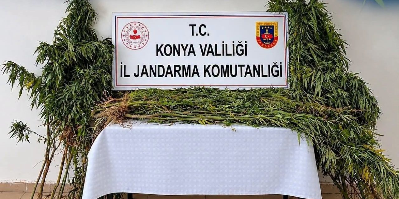 Cihanbeyli’de Jandarmadan Uyuşturucu Operasyonu
