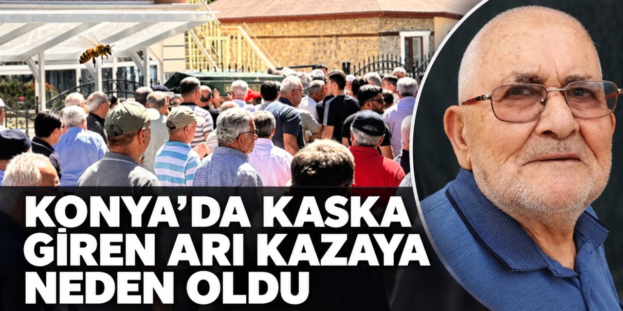 Kaska Giren Arı Kazaya Neden Oldu: 75 Yaşındaki Yaya Hayatını Kaybetti