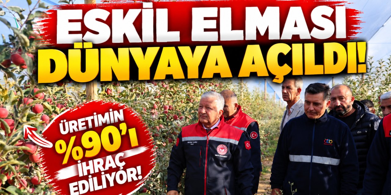 Eskil Elması Dünyaya Açıldı! Elmanın Yüzde 90’ı İhracata Gidiyor