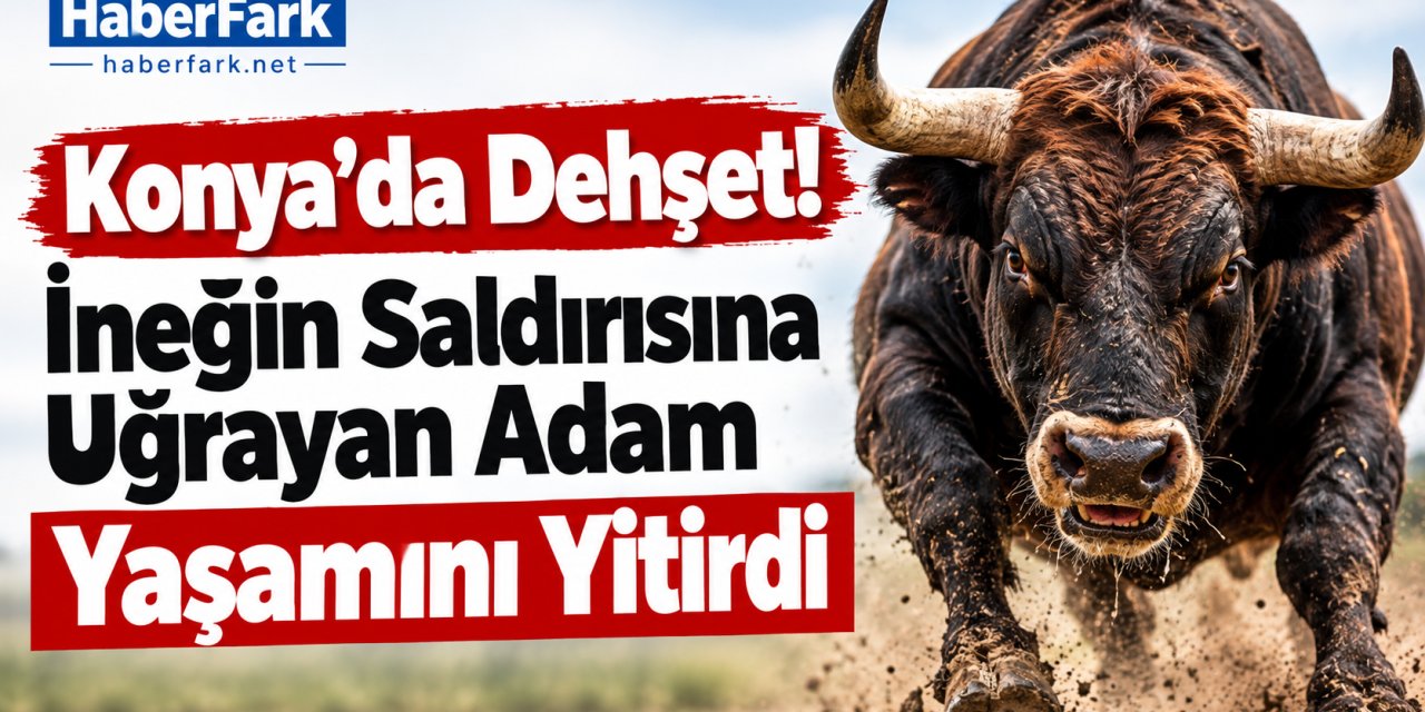 Konya’da İnek Dehşeti: 5 Çocuk Babası Hayatını Kaybetti