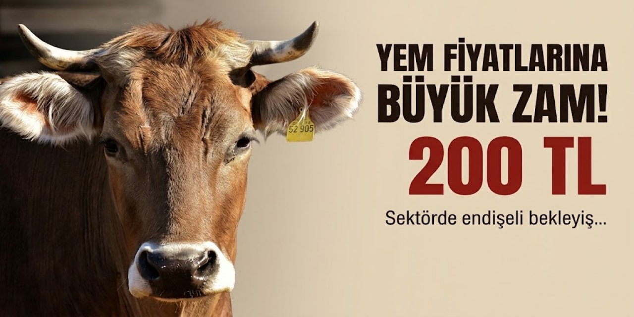 Yem fiyatlarına 1,5 ayda 200 TL’ye varan zam
