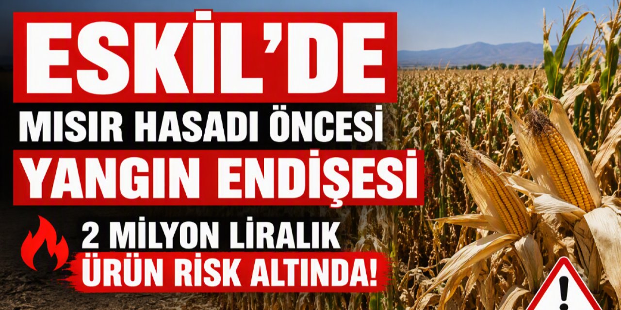 Mısır tarlasında yangın endişesi!