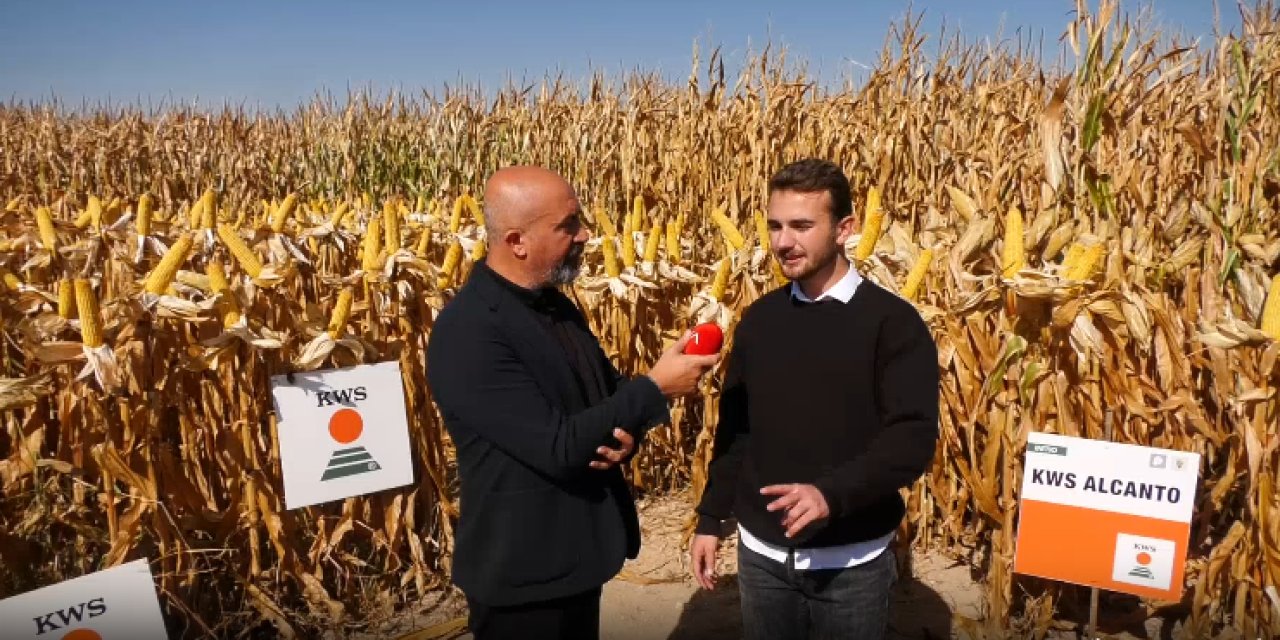 Eskil’de KWS Alcanto Dane Mısır Tohumu İçin Tarla Günü Düzenlendi