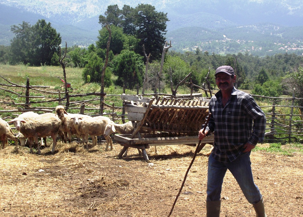 Bir roman okudu ve hayatı değişti