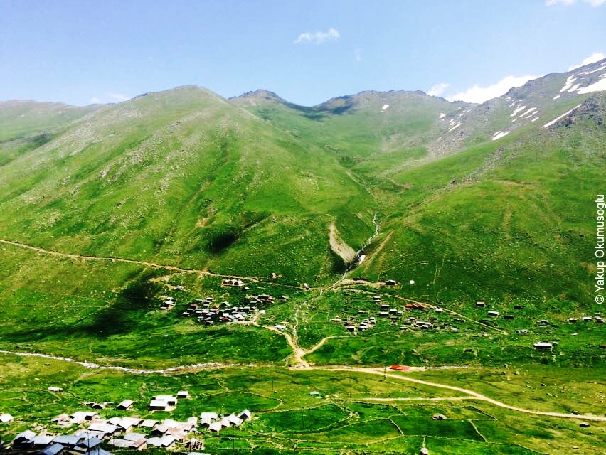 Karadeniz'in doğası yoldan çıkacak!