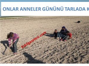 Onlar Tarlada Anneler Gününü Kutladı