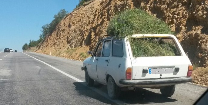 Hayvan yemi böyle taşınır!