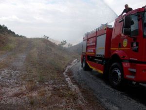 Araçlara Saldıran Arılara İtfaiyeden Sulu Müdahale