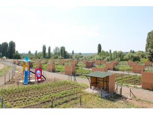 Beyşehir’de Hobi Bahçeleri Meyvelerini Verdi