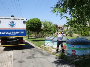 Selçuklu’da haşereyle mücadele sürüyor