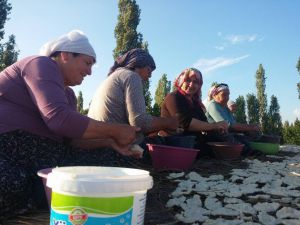 Bu Tarhanalar Çerezlik Olarak Yapılıyor