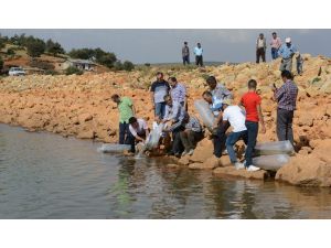 Büyükşehir’den Balıkçılığa Destek