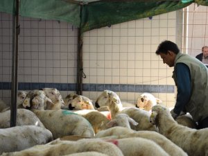 Ribat'tan kurban seferberliği