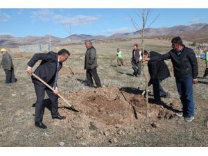 Başkan Tutal, “Hedefimiz 20 Bin Fidanı Toprakla Buluşturmak’’