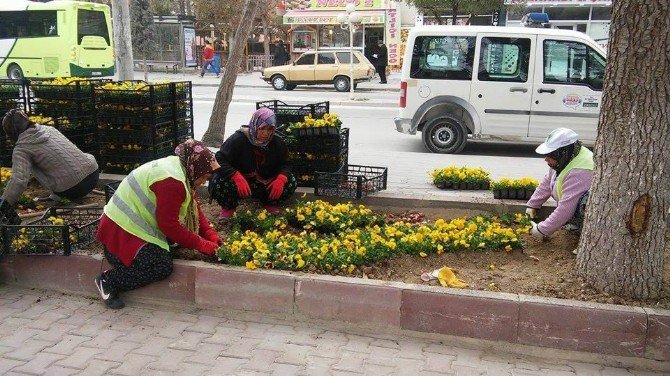 Ereğli Çiçeklerle Donatılıyor