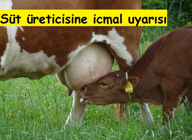 Süt üreticisine icmal uyarısı