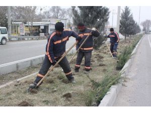 Ereğli’de Ağaç Ve Çiçek Dikimi