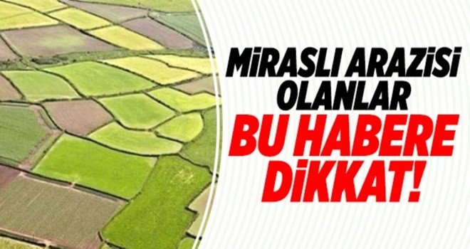 Miras paylaşımında son 3 ay