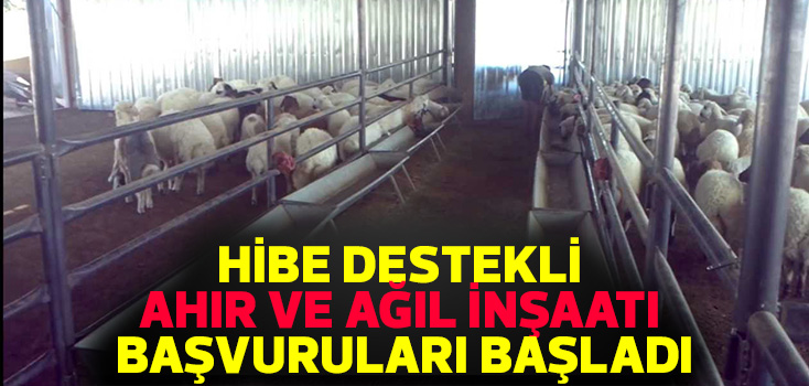 Hibe destekli Ahır ve Ağıl inşaatı başvuruları başladı