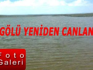 Tuz Gölü Yeniden Canlanıyor