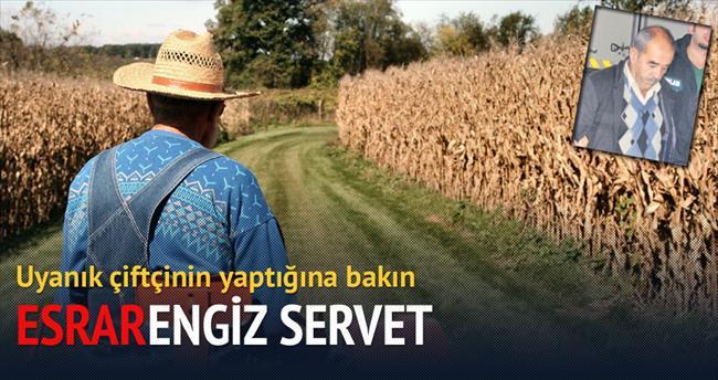 Konyalı Çiftçinin 'esrar'lı serveti