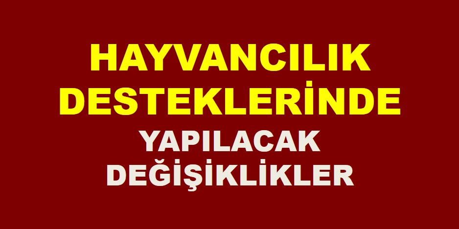 İşte hayvancılık desteklerinde yapılacak değişiklikler