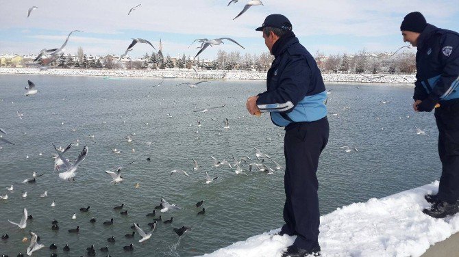 Beyşehir’de Zabıtadan Su Kuşları İçin ‘Farkındalık’ Mesaisi