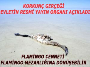 Cennet mezarlığa dönüşüyor...