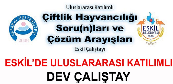 Eskil’de Uluslararası Çalıştay