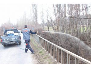 Beyşehir’de Larva Mücadelesi Hız Kazandı