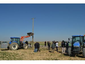 Kulu’da Yırtıcı Kuşlar İçin Yuva Ve Tüneme Direkleri