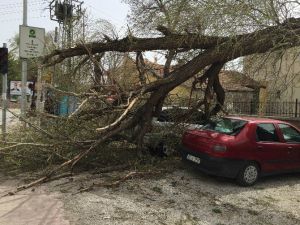 Ereğli’de Şiddetli Rüzgar