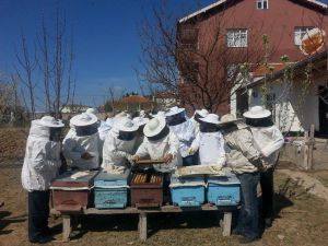 Kulu’da Komek’ten Uygulamalı Arıcılık Kursu