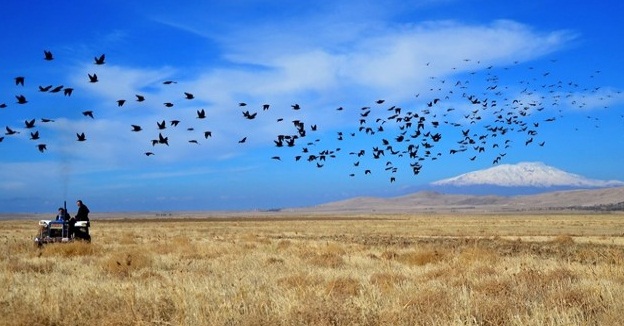 Mazot, gübre ve toprak analizi destekleme başvuru...