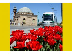 Büyükşehir’den “Çiçek Gibi Konya” Fotoğraf Yarışması