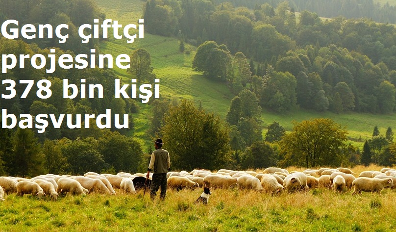 Genç çiftçi projesine 378 bin kişi başvurdu