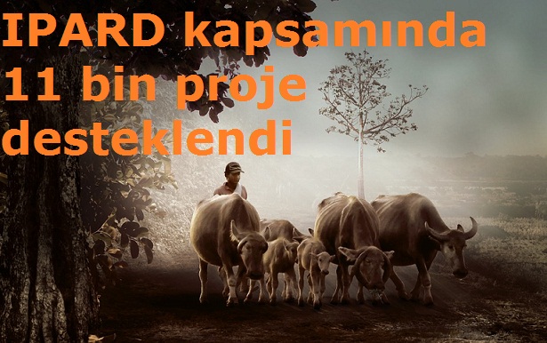 IPARD kapsamında 11 bin proje desteklendi