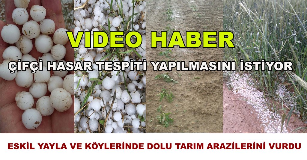 Eskil Yayla ve Köylerini Dolu vurdu, “Tarım arazilerinde hasar büyük!”