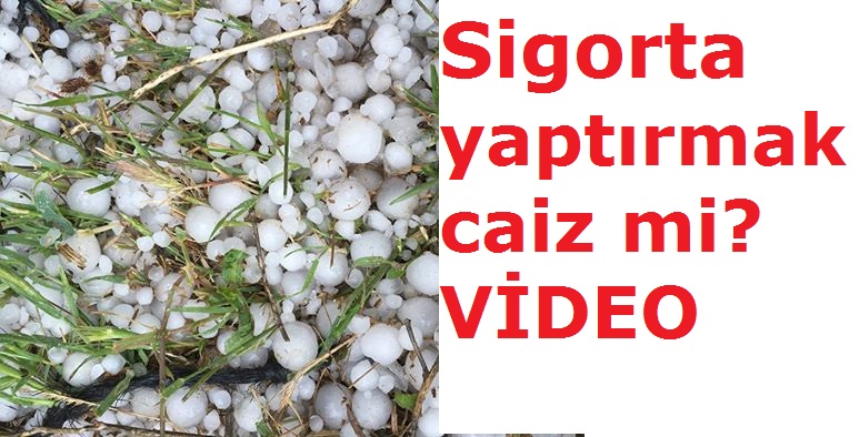 Sigorta yaptırmak caiz mi? VİDEO