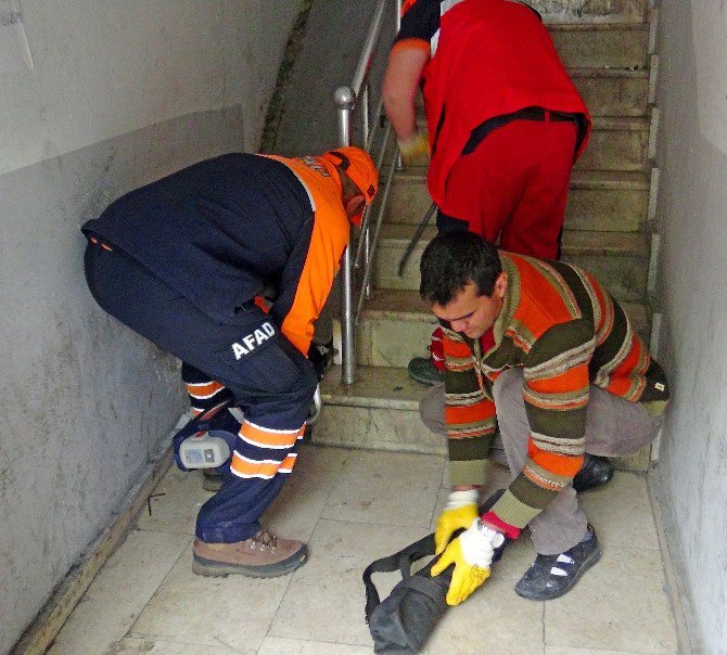 Merdiven Boşluğunda Mahsur Kalan Kediyi AFAD Ekipleri Kurtardı