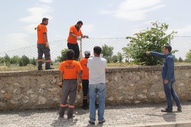 Cihanbeyli’de Mezarlıklar Onarılıyor